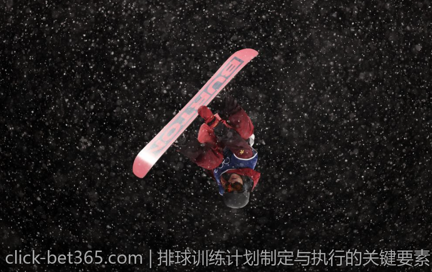排球训练计划制定与执行的关键要素