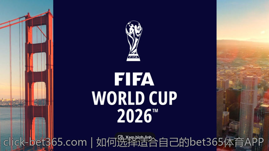 如何选择适合自己的bet365体育APP