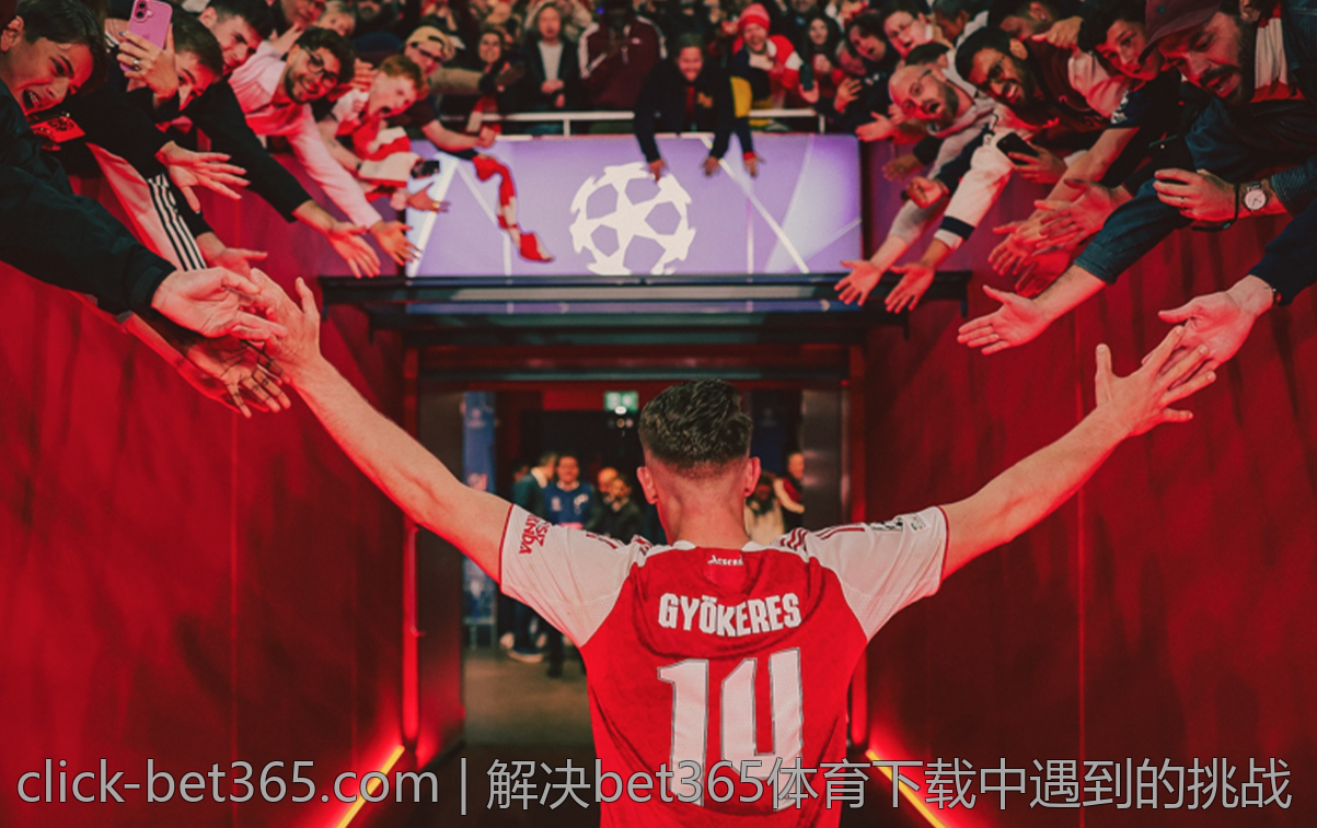 解决bet365体育下载中遇到的挑战